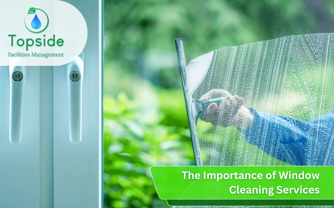 The Importance of Window Cleaning Services